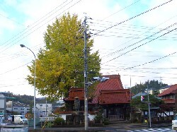 専念寺の写真